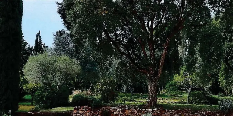 SOS Costa Brava denuncia que Palafrugell aprovarà la construcció de 22 pisos als jardins de Rubió i Tudurí a Calella