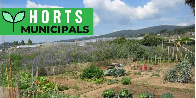 Obert el procés per sol·licitar un hort urbà municipal