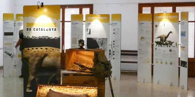 Una exposició recorda els cent anys d’excavacions de dinosaures a Catalunya