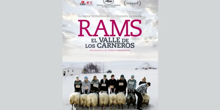 El CineClub La Seu projecta la pel·lícula islandesa 'Rams. El Valle de los carneros'