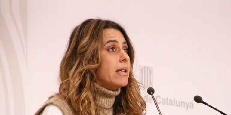 El Govern deslliga la llei d'amnistia d'una reforma de la Lecrim: "No va directament relacionat"