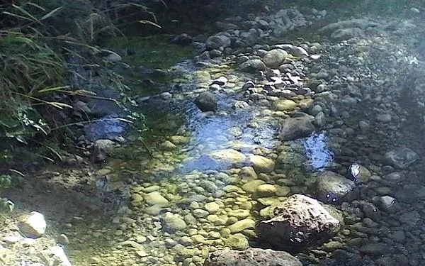 L’Escola de Naturalistes del Gepec organitza una sortida a Vilabella