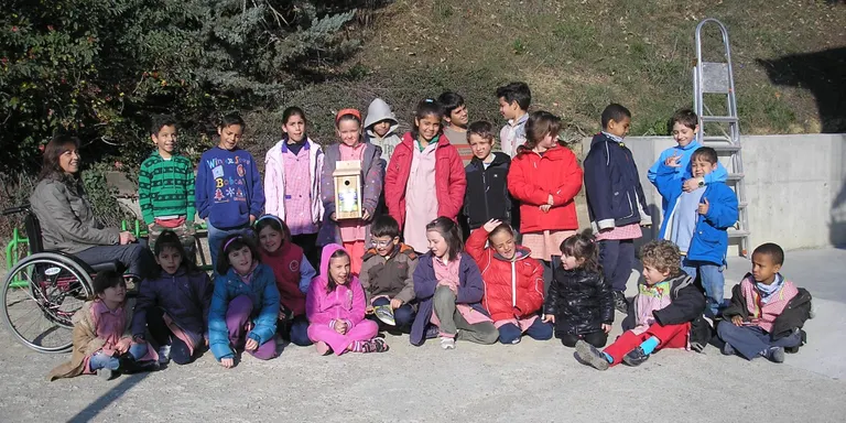 L'Escola de Castell-Ciutat instal.la dues caixes-niu i tres menjadores d'ocells