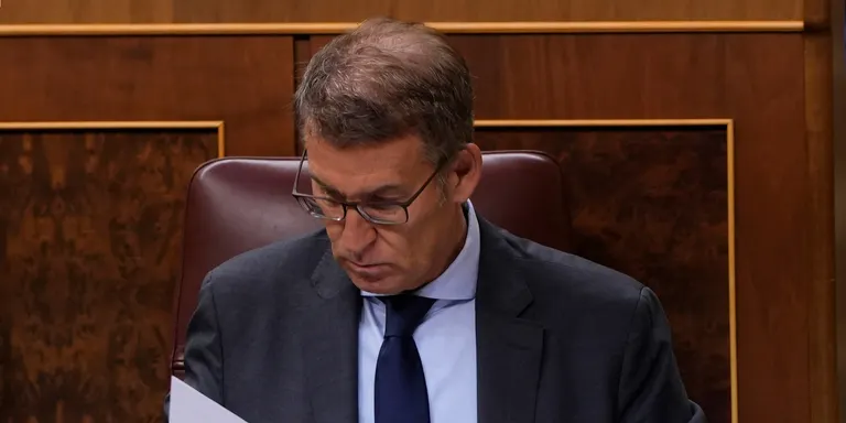 Feijóo veu "possible" que Sánchez convoqui un referèndum "disfressat" d'una "consulta" no vinculant