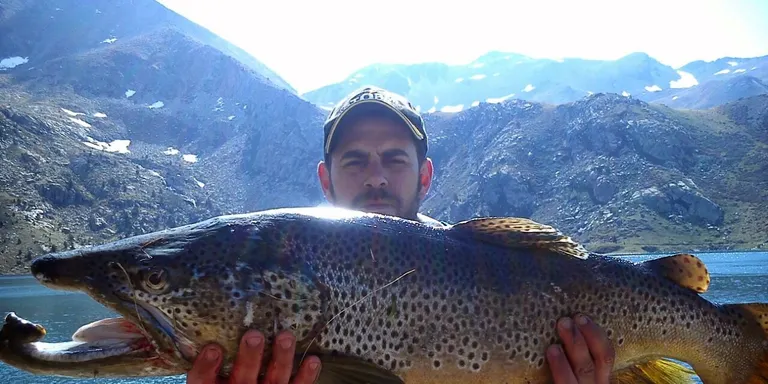 Pesquen una truita de grans dimensions a l'Estany Gento