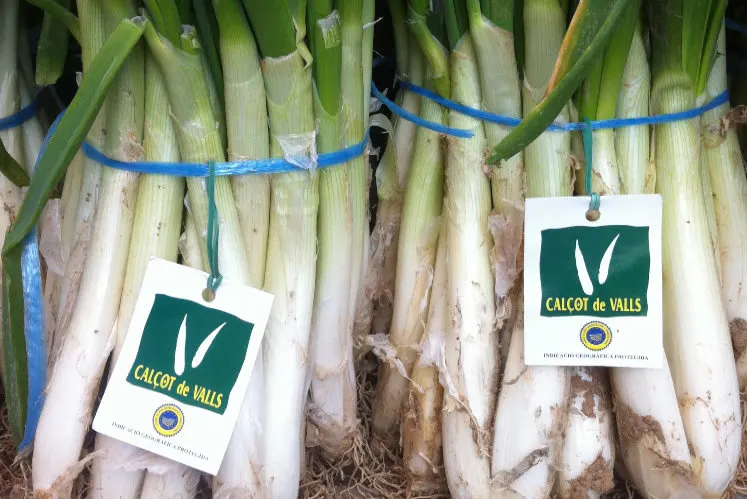 25 anys de la IGP Calçot de Valls