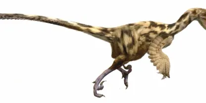 Descrites dues noves espècies d'ous de dinosaure als Pirineus