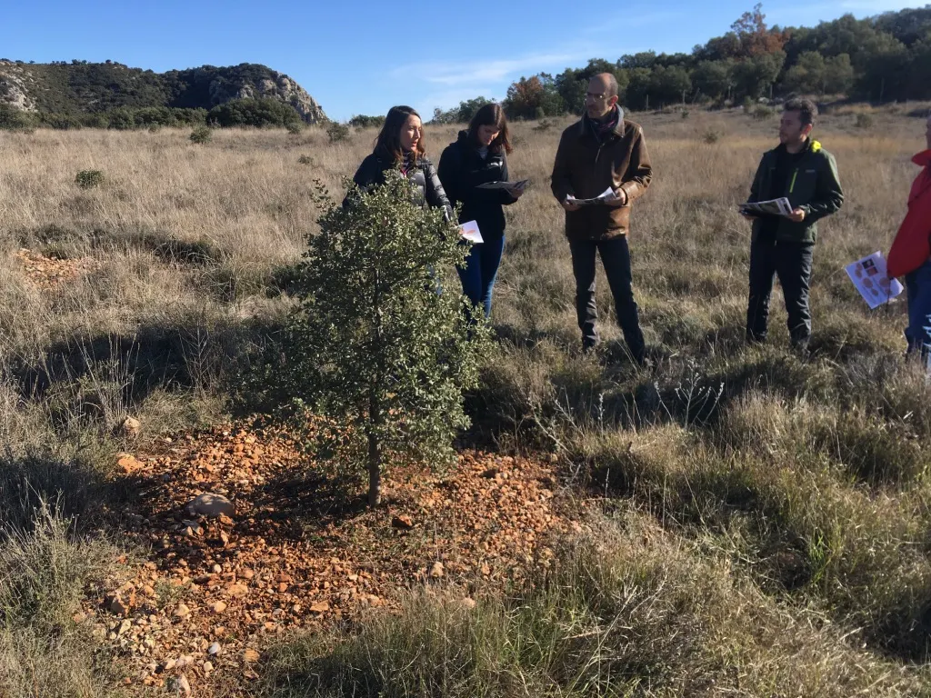 Un estudi del CTFC i la UdL conclou que la tòfona pot donar vida als camps abandonats dels Pirineus