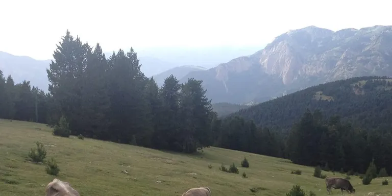 Territori creu que el model agrari de l'Alt Pirineu s'ha de renovar davant el canvi climàtic