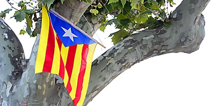 El PP i C's eleven a la Delegació del Govern espanyol la retirada de les estelades