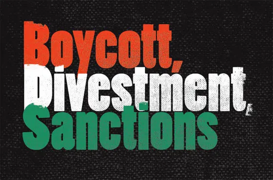La CUP vol que l'Ajuntament de la Seu s'adhereixi a la campanya mundial de boicot, desinversions i sancions a Israel
