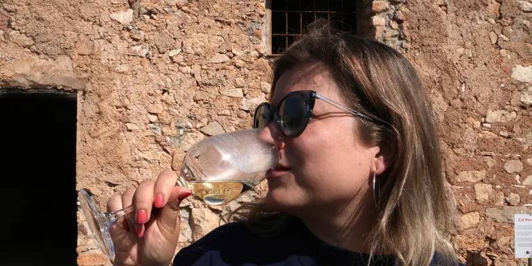 Brussel·les estudiarà etiquetar el vi com a cancerigen, però no preveu prendre una decisió fins al 2023
