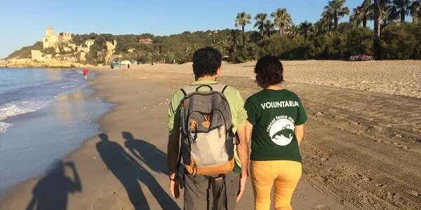 La Sínia inicia la campanya de captació de voluntariat per divisar tortugues marines a les platges