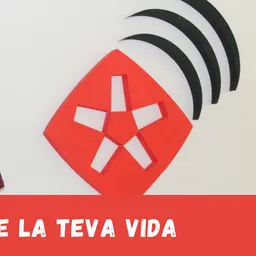 L'Àlbum de la teva vida amb Sergi Estella - episode art