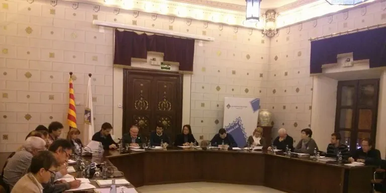 El ple de la Seu dóna el vistiplau al pressupost per al 2015