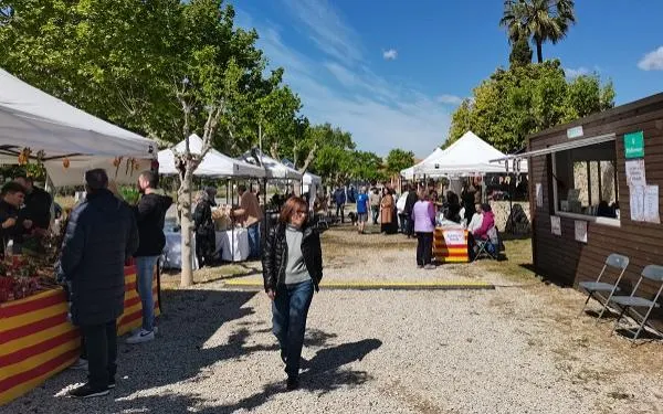 Foto: Altafulla Ràdio