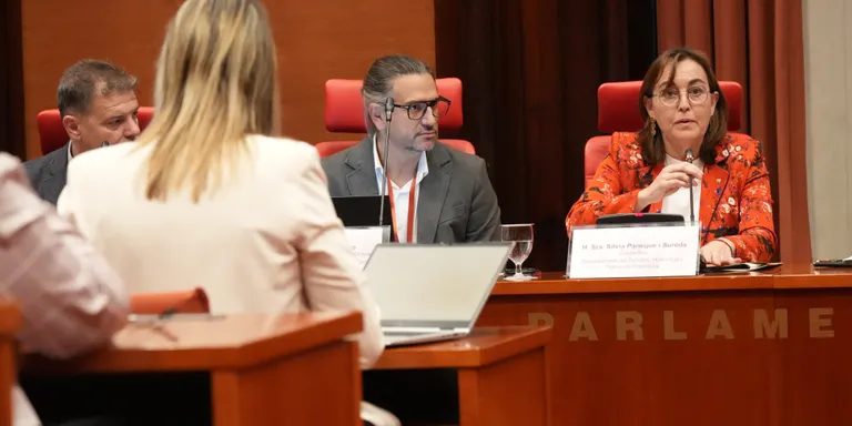 L'ACA amplia un 30% les zones amb risc d'inundació a les conques internes