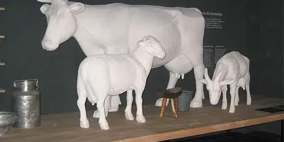 El Patronat de Turisme de la Diputació es reuneix amb el sector turístic de l'Alt Urgell