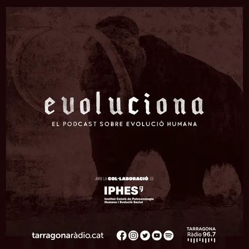 Evoluciona, la investigació sobre l'evolució humana, amb l'Iphes