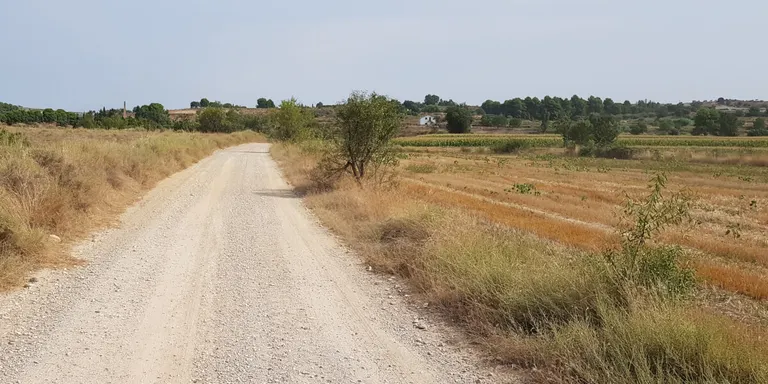 En marxa la reparació de més de 5 km de camins a Castellserà