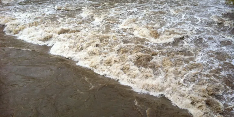 La Seu abordarà aquest any la neteja del riu Segre