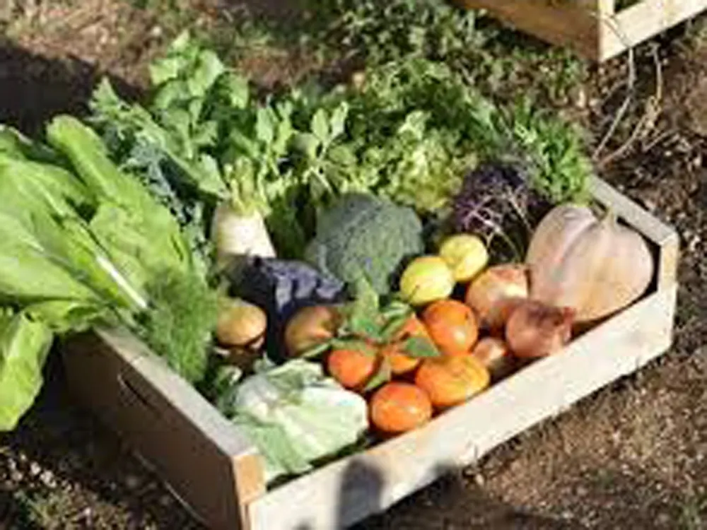 L’associació agroecològica Can Feliu distribuirà cistelles de productes a la primavera