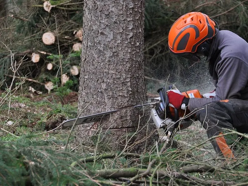 El Consell Comarcal impulsa la formació i la contractació de treballadors per al sector forestal davant la manca de mà d'obra