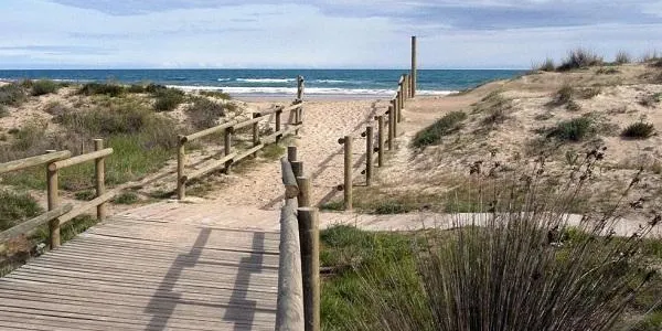 L’Ajuntament de Torredembarra insta el govern a renovar el conveni de protecció dels Muntanyans per poder-hi intervenir