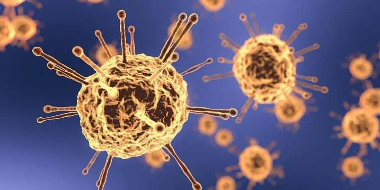 Dades de coronavirus corresponents al 15 de Juliol