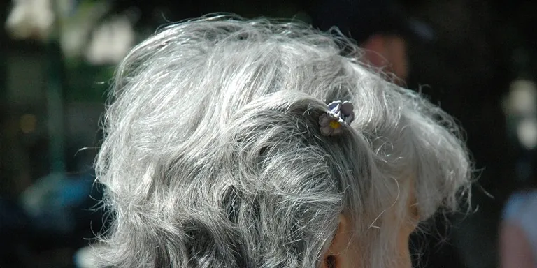 Les pensions dels rubinencs, lleugerament per sobre de la mitjana de la comarca