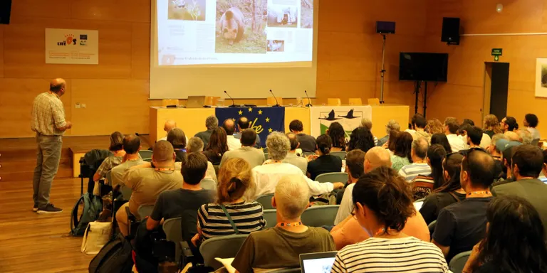 La Fundación Oso Pardo donarà suport a l'extracció del medi de Cachou si els tècnics ho dictaminen