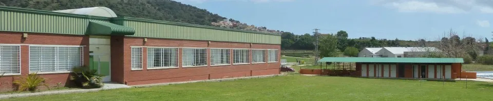 L'Associació de Jubilats i Pensionistes de Pineda fan la festa de les 'migas' als terrenys del Marpí de Pineda