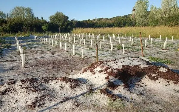 Foto: Hort de la Sínia / Pep Muntadas
