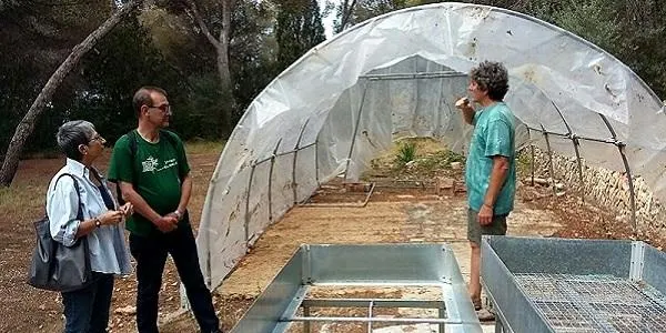 L’Escola de Naturalistes El Corriol d’Altafulla ofereix aquest dissabte l’activitat “els arbres ens parlen d’històries fantàstiques”