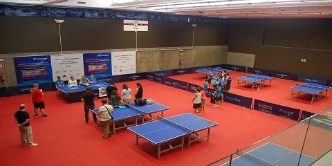 LA FEDERACIÓN ESPAÑOLA DE TENIS DE MESA PREMIA AL AYUNTAMIENTO DE IRUN