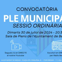 Ple municipal ordinari de l’Ajuntament de Begur, 30 de juliol. - episode art