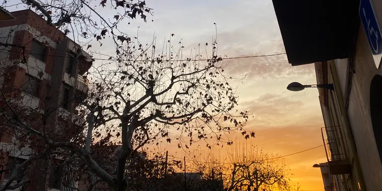 El temps d'aquest dijous 8 de febrer