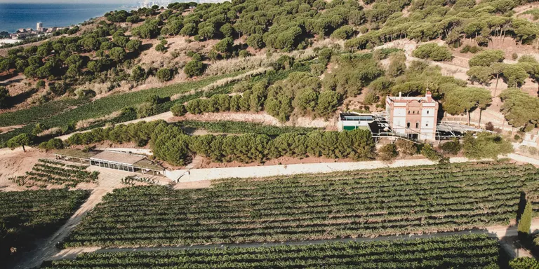 Empreses d'Arenys i del Maresme no confien en les ajudes per fer front als aranzels de Donald Trump