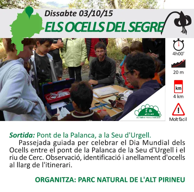 Sortida des de la Seu per conèixer els ocells de la ribera del Segre