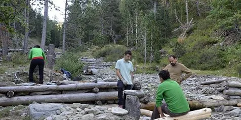 El Projecte Boscos de Muntanya fa novament a l'estiu tasques de millora al Pirineu