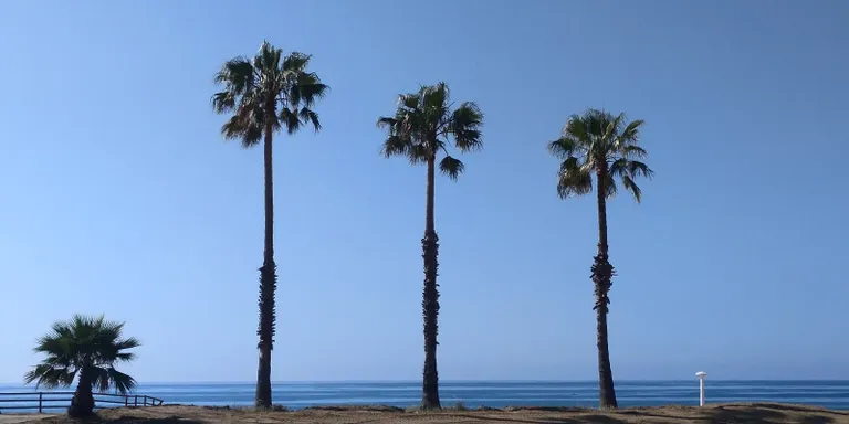 Bon temps en una setmana típica de primavera