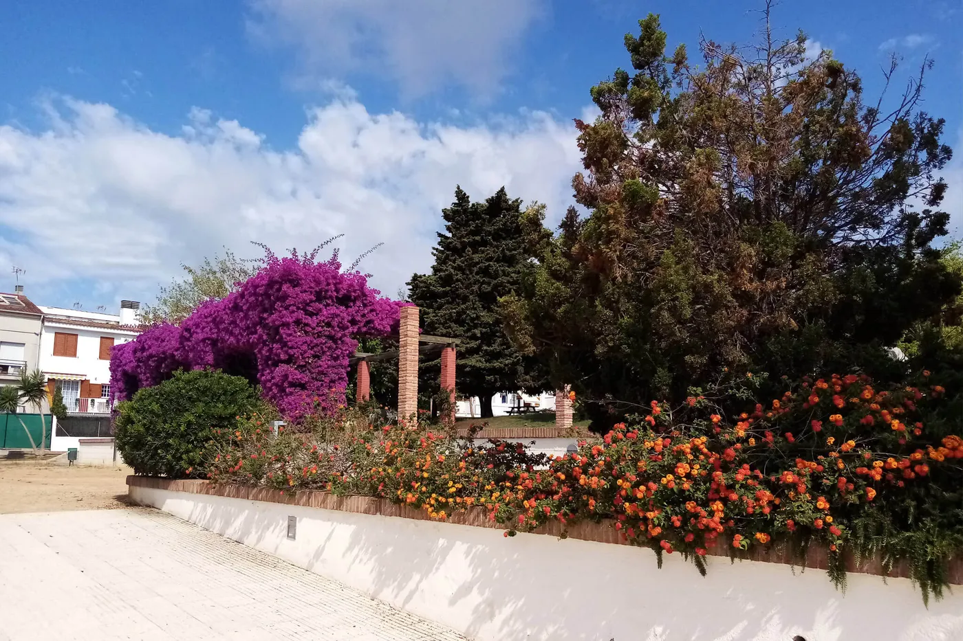 ‘Crònica’ del 16 d’agost