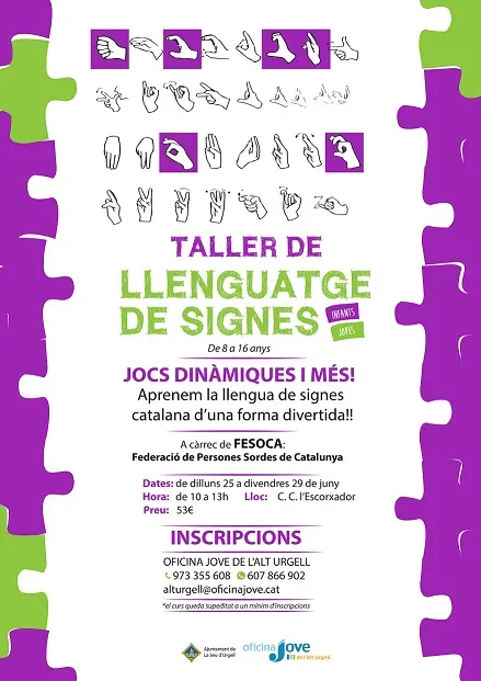 Taller de llenguatge de signes per a infants i joves a la Seu