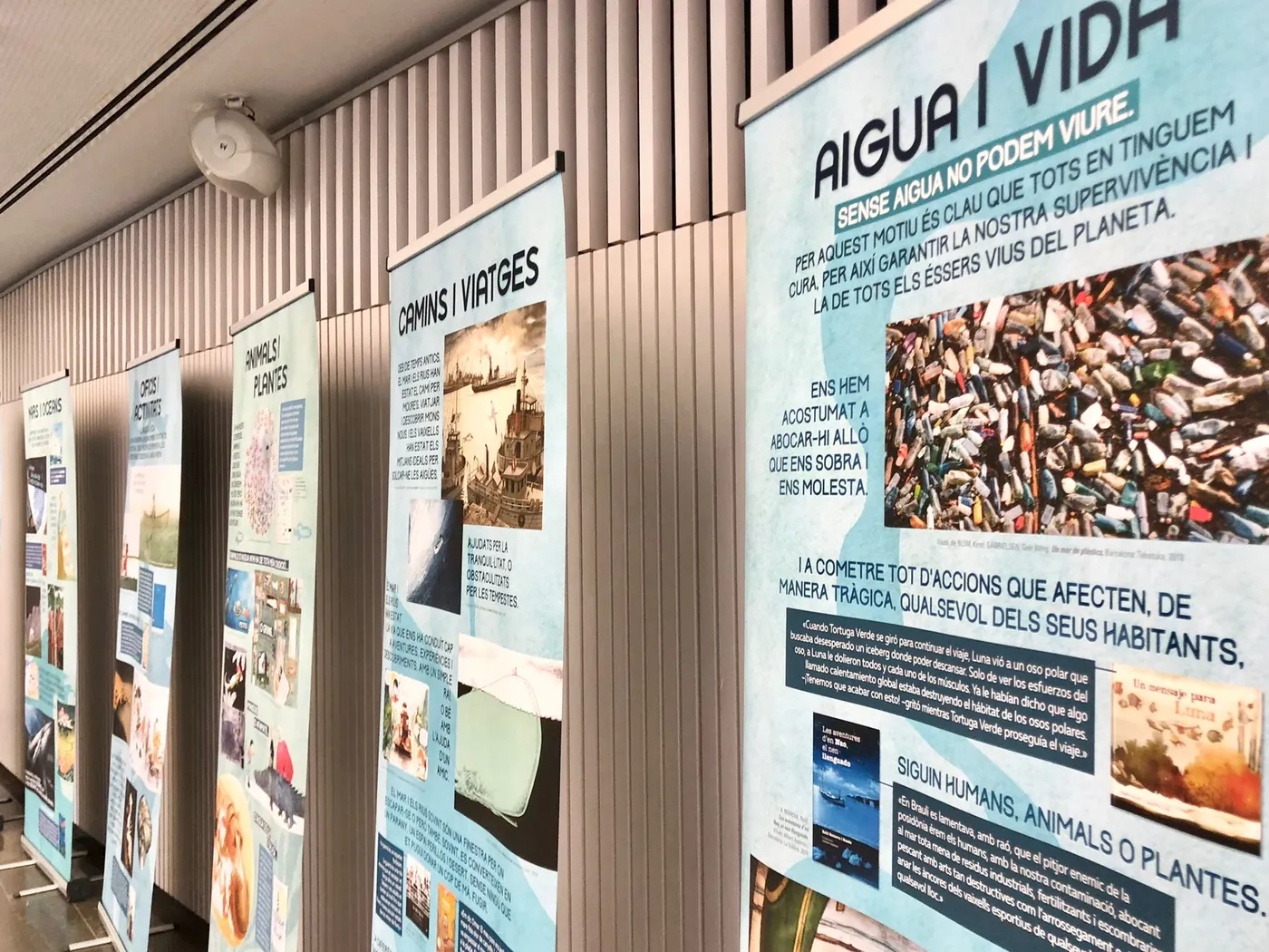 Una exposició a la biblioteca convida a explorar l'aigua des de diferents punts de vista