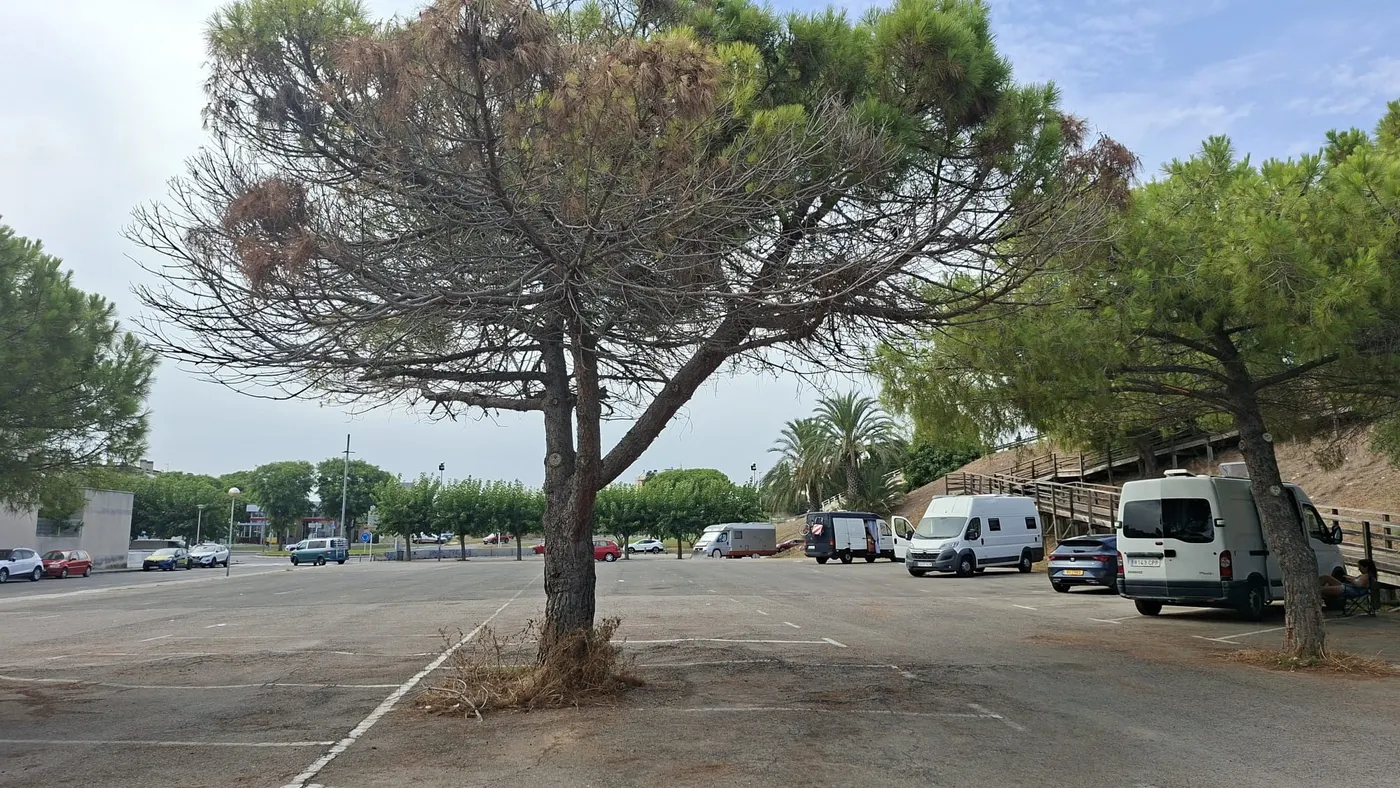 Ajornada la signatura per fer pisos protegits a l'aparcament de les Dunes