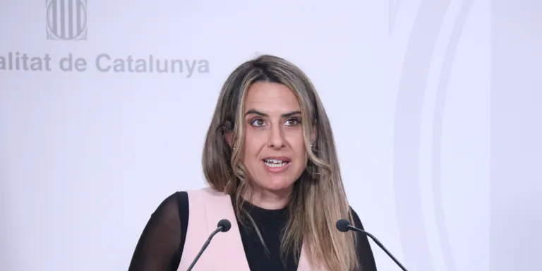 El Govern expressa el seu malestar a les autoritats franceses per haver prohibit el català als plens municipals