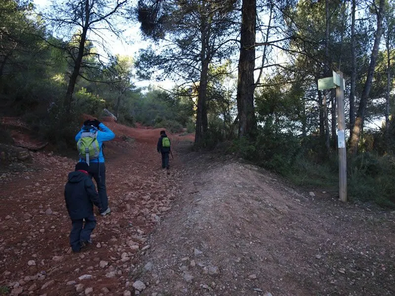 L’Ajuntament adequarà abans de l’estiu els camins forestals del terme municipal per garantir l’accés dels vehicles d’extinció d’incendis