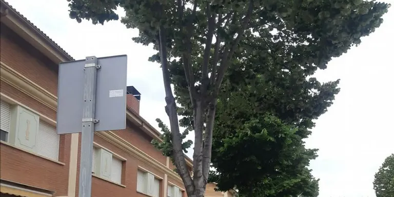 La nit del 12 al 13 de juny, tractament fitosanitari preventiu dels til·lers
