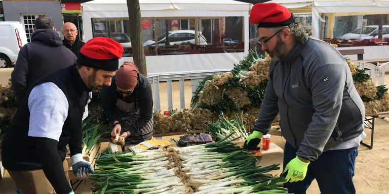 El XIP cuina 8000 calçots a la 19ena Calçotada Popular