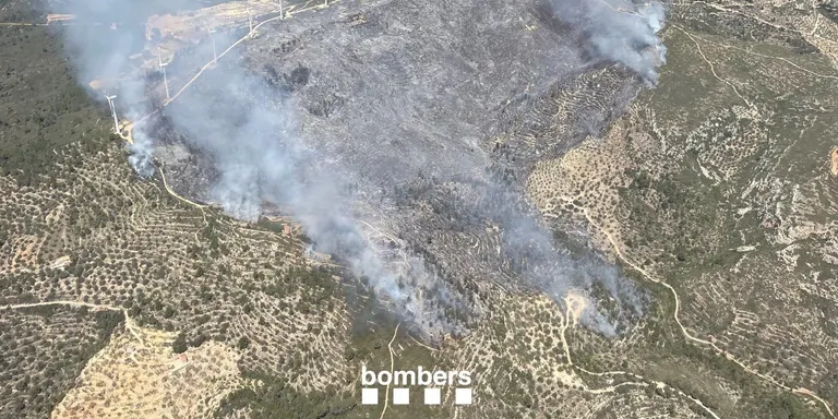 Detingut un home de 43 anys per l'incendi del coll de l'Alba de Tortosa